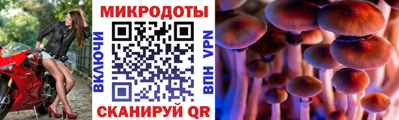 Псилоцибиновые грибы мицелий  Первоуральск 